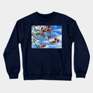 My 5 cents to the Spring theme on RB Crewneck Sweatshirt